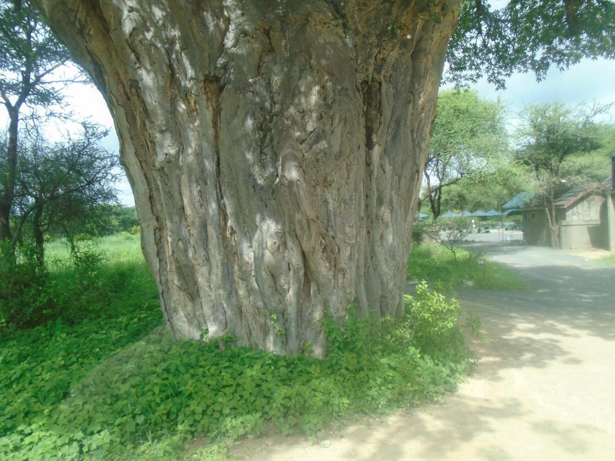 Themi Valley Eco And Cultural Tourism Homestay Arusha Extérieur photo