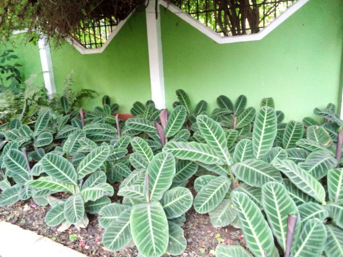 Themi Valley Eco And Cultural Tourism Homestay Arusha Extérieur photo