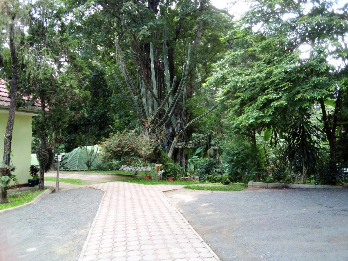 Themi Valley Eco And Cultural Tourism Homestay Arusha Extérieur photo