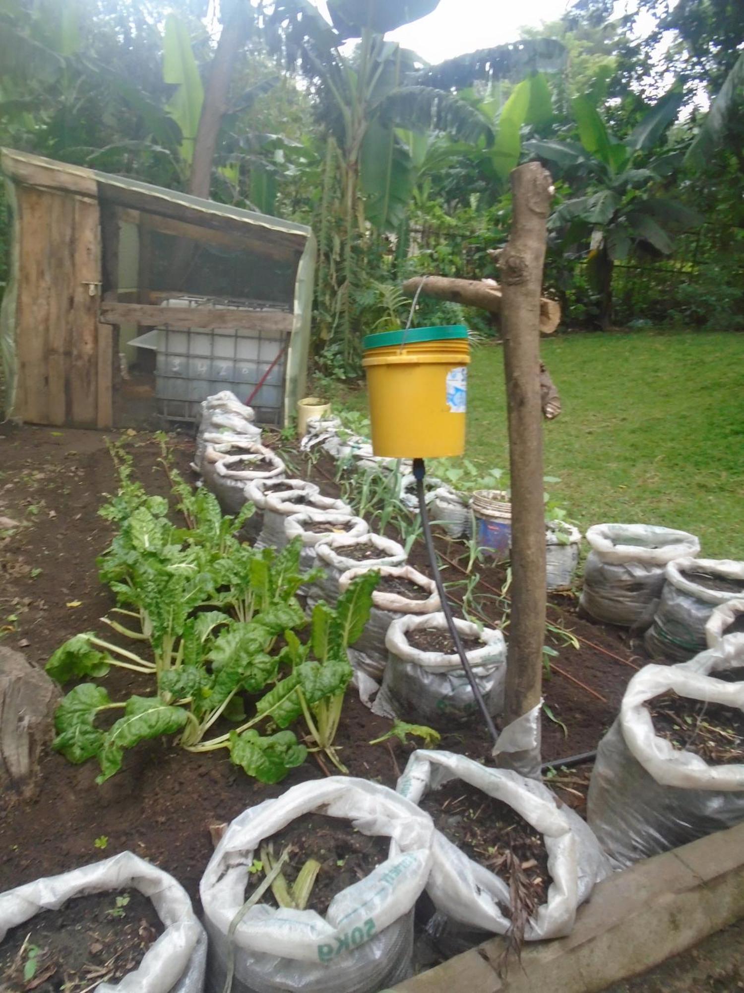 Themi Valley Eco And Cultural Tourism Homestay Arusha Extérieur photo