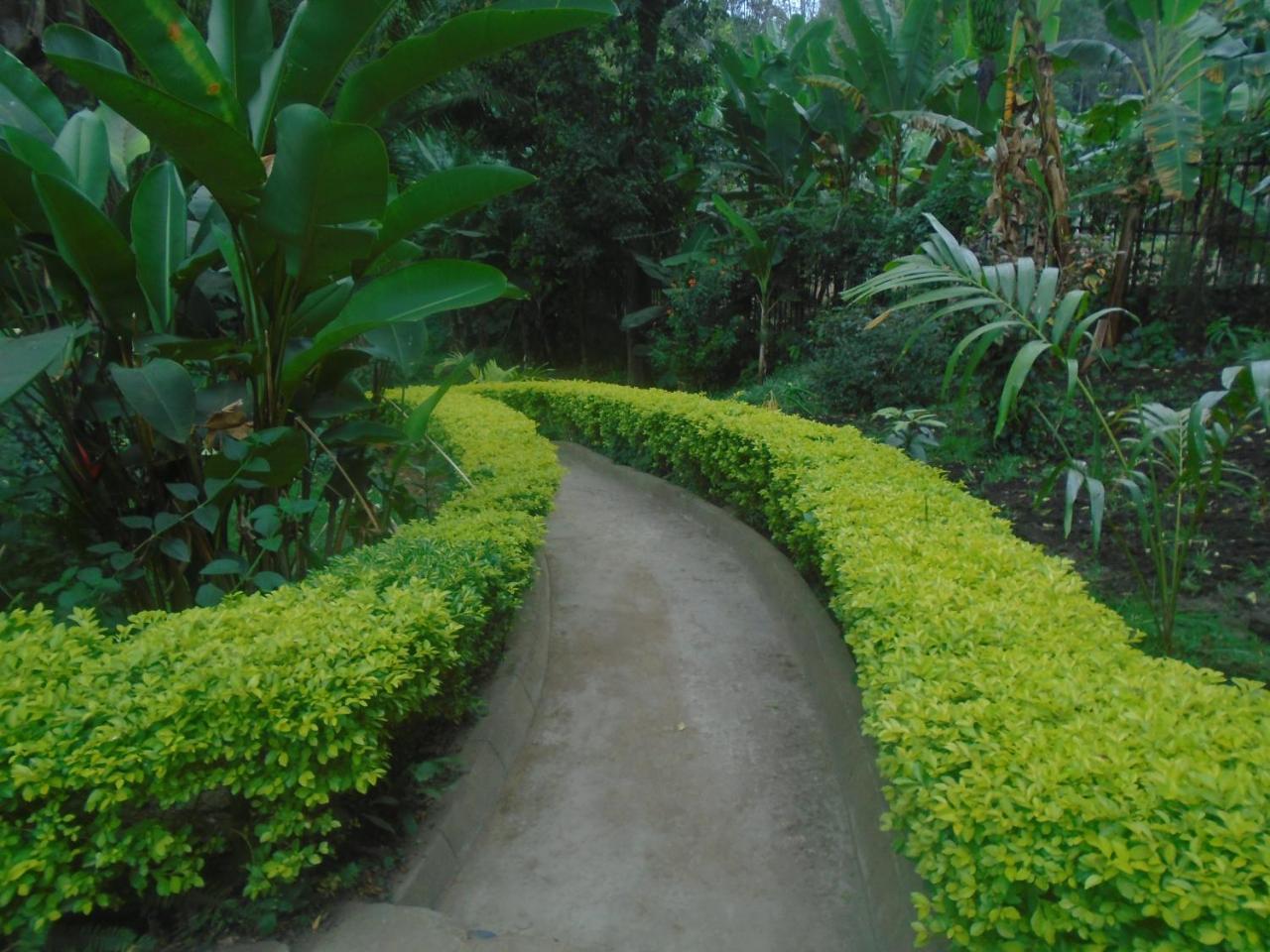 Themi Valley Eco And Cultural Tourism Homestay Arusha Extérieur photo