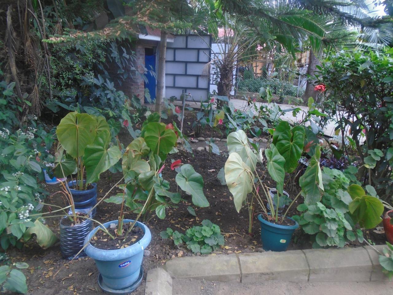 Themi Valley Eco And Cultural Tourism Homestay Arusha Extérieur photo