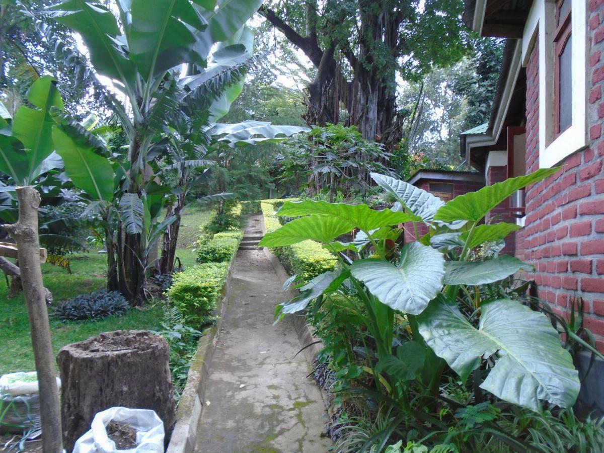 Themi Valley Eco And Cultural Tourism Homestay Arusha Extérieur photo